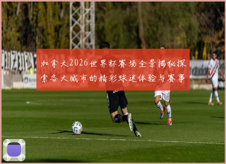 加拿大2026世界杯赛场全景揭秘探索各大城市的精彩球迷体验与赛事氛围