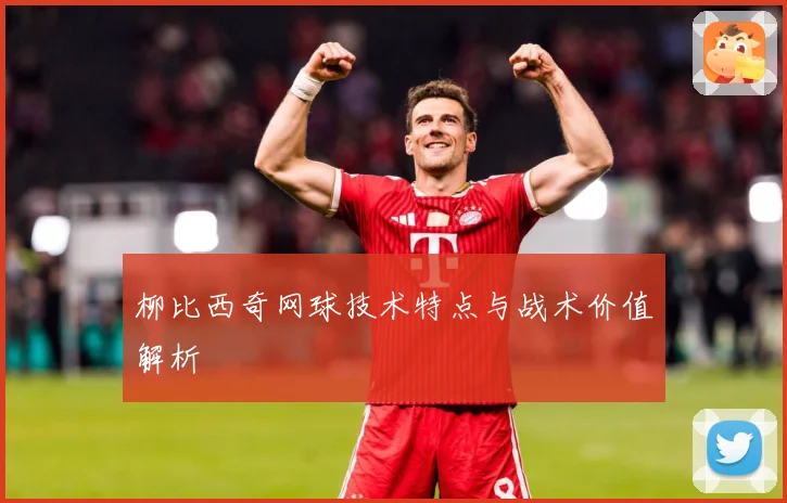 柳比西奇网球技术特点与战术价值解析
