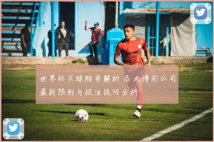 世界杯买球赔率解析 各大博彩公司最新预测与投注技巧分析