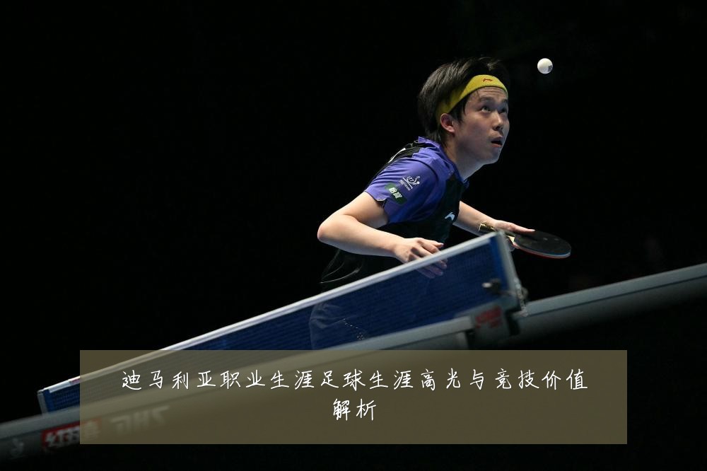 迪马利亚职业生涯足球生涯高光与竞技价值解析